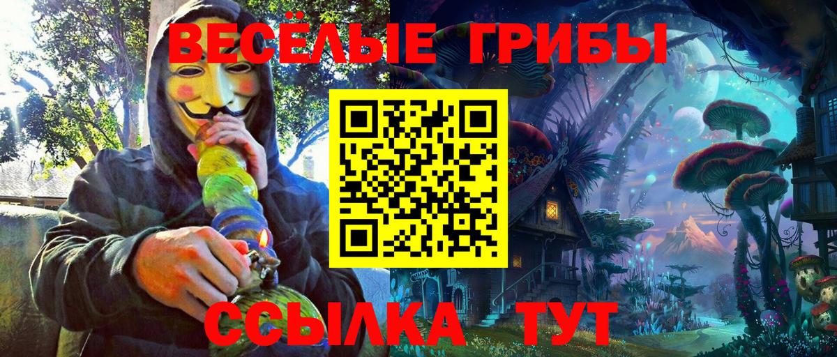 Галлюциногенные грибы Psilocybine cubensis  Вход с VPN  Десногорск  Псилоцибиновые грибы Psilocybine cubensis 
